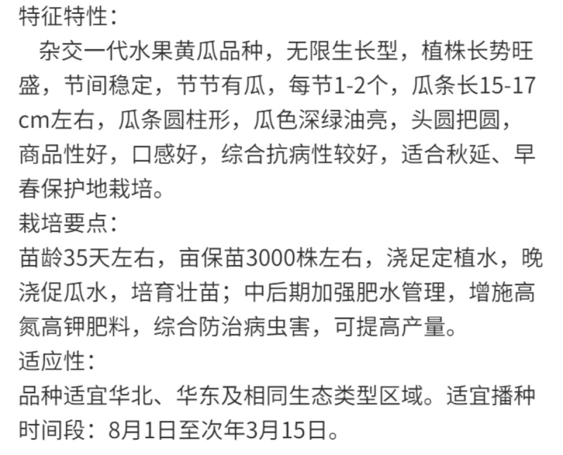 乾德美玉杂交水果黄瓜种子黑油亮口感好植株长势强四季蔬