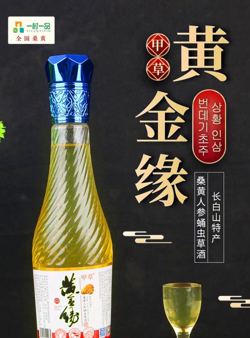 桑黄人参蛹虫草酒女士养颜酒