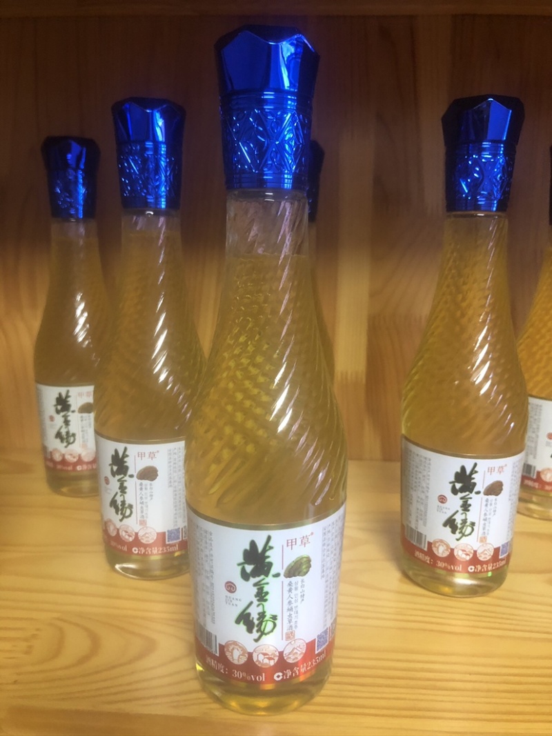 桑黄人参蛹虫草酒女士养颜酒