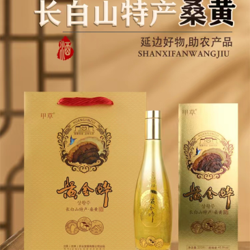 长白山桑黄酒