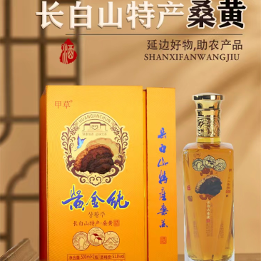 长白山特产桑黄酒
