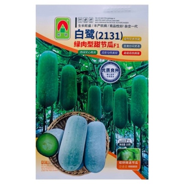 白鹭台湾小冬瓜种子正品早熟瓜长圆筒形粉皮白色绿肉脆甜节瓜