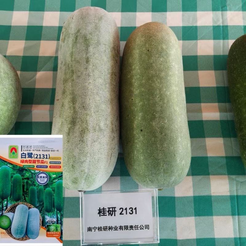 白鹭台湾小冬瓜种子正品早熟瓜长圆筒形粉皮白色绿肉脆甜节瓜