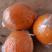 四川橙子锦橙套代果色红光亮水分足甜度13产地直供价格详谈