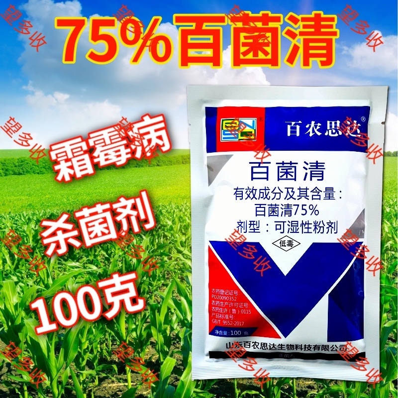 75%百菌清真菌杀菌剂霜霉病农药蓝粉好原料