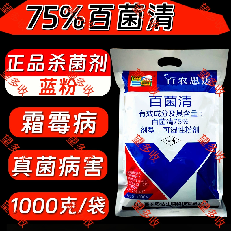 75%百菌清真菌杀菌剂霜霉病农药蓝粉好原料