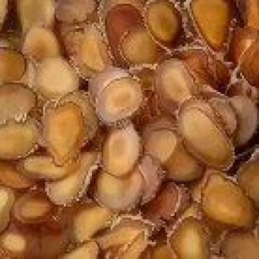 鹿茸片