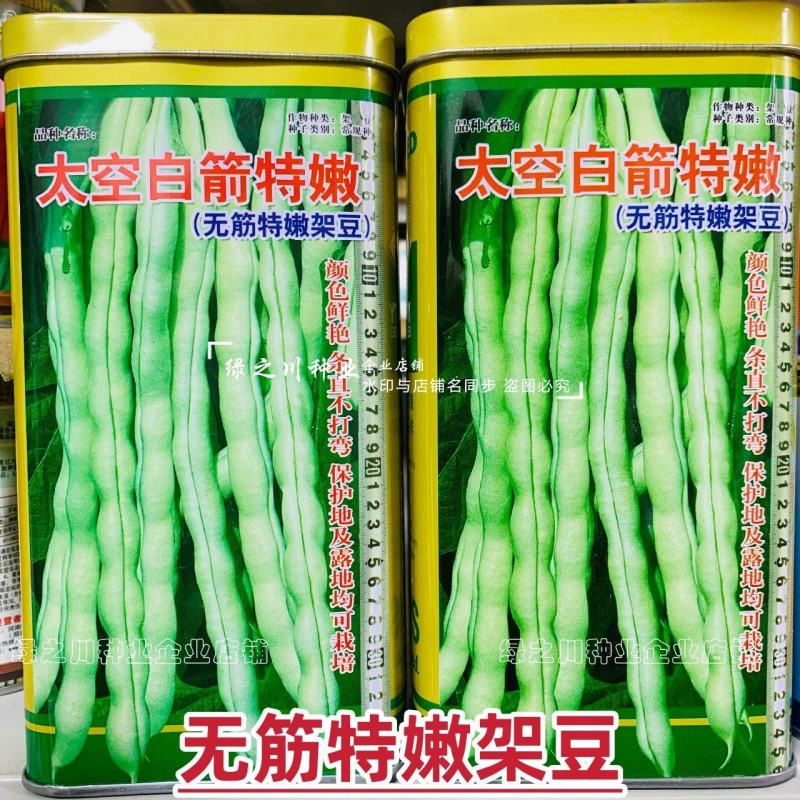 无筋架豆王种子太空白箭特嫩架豆种子荚长条直白绿高产春秋