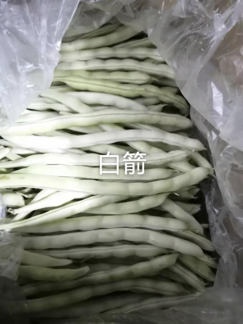 无筋架豆王种子太空白箭特嫩架豆种子荚长条直白绿高产春秋