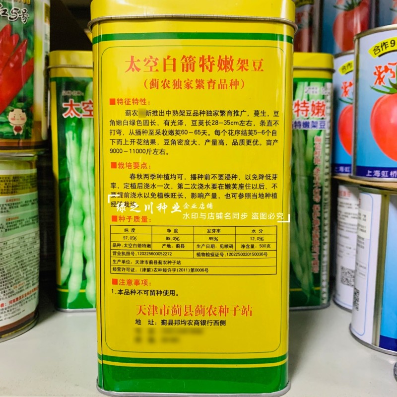 无筋架豆王种子太空白箭特嫩架豆种子荚长条直白绿高产春秋