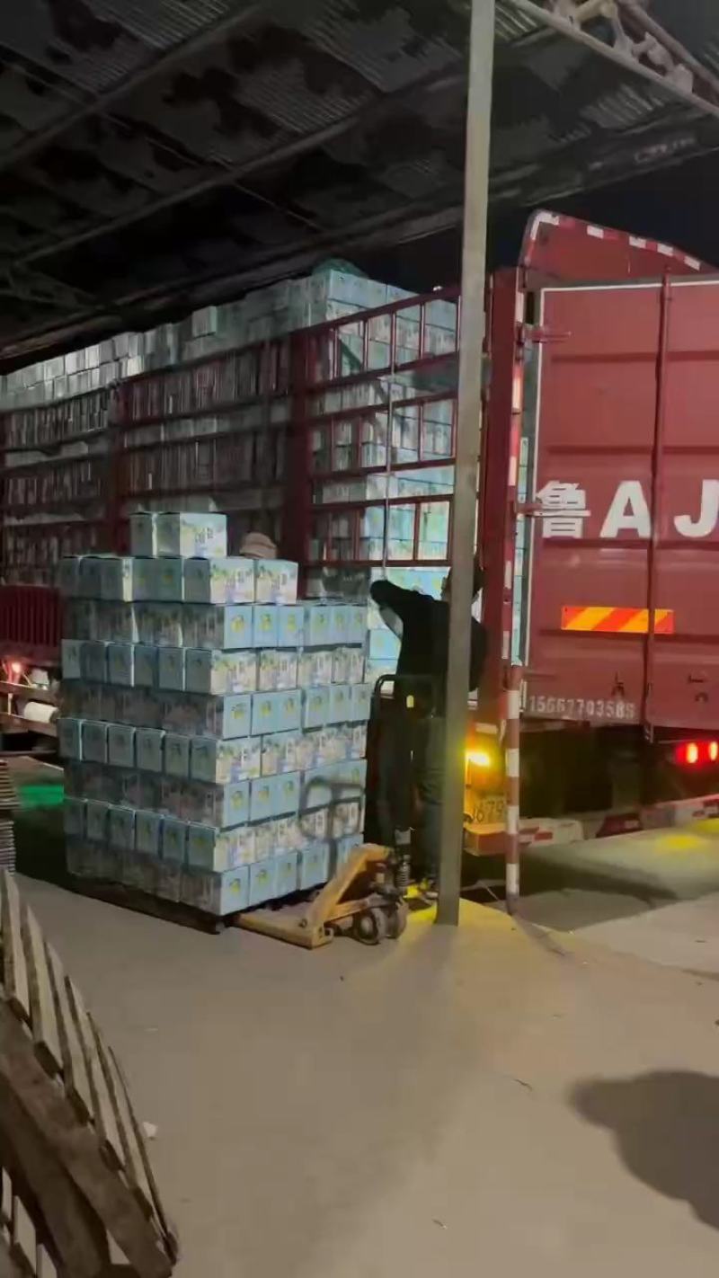 河北各种梨都有皇冠梨电商货，团购货，市场货都有