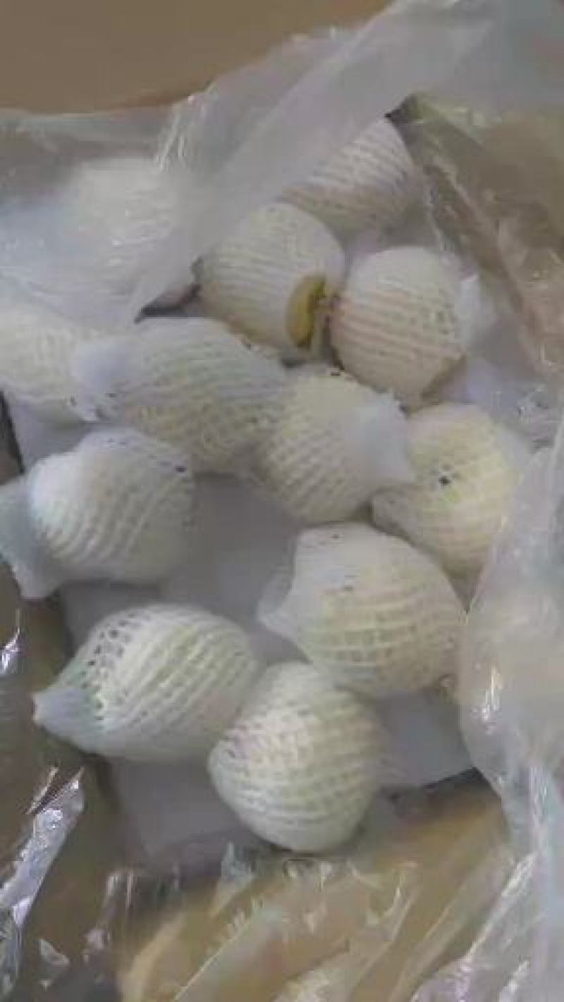 河北各种梨都有皇冠梨电商货，团购货，市场货都有