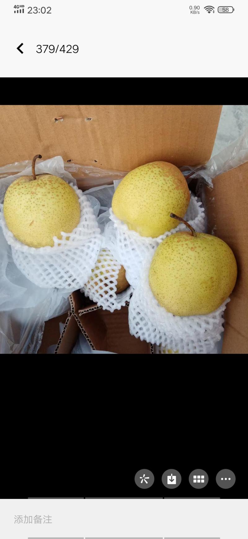 河北各种梨都有皇冠梨电商货，团购货，市场货都有