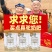 依巴特骆驼奶粉新疆330g学生成人老年高蛋白罐驼奶粉包邮