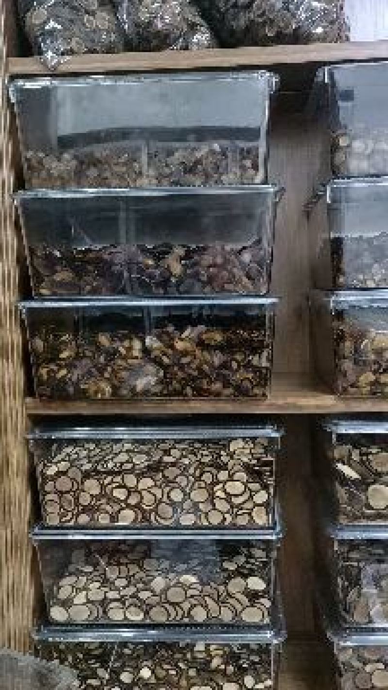 梅花鹿鹿茸腊片，泡水煲汤火锅均鹿场售卖