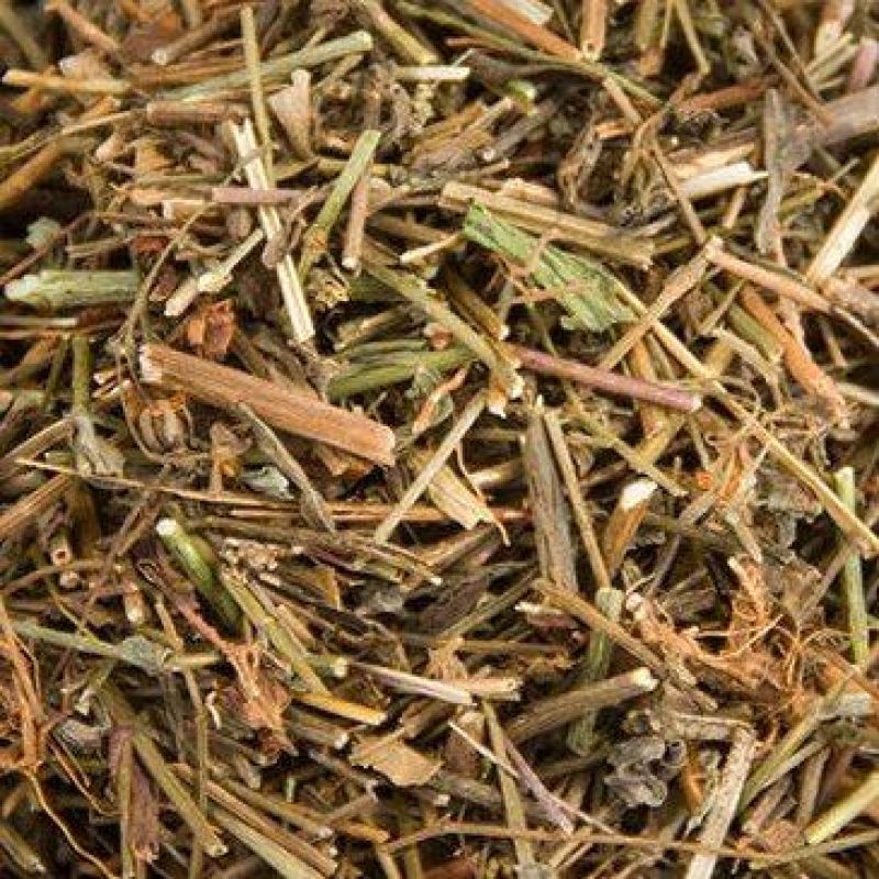 田基黄土防风耳草雀舌草蛇查口跌水草七寸金一