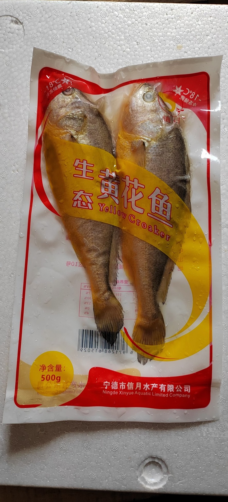 宁德大黄鱼