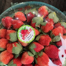 电商草莓，精品奶油草莓