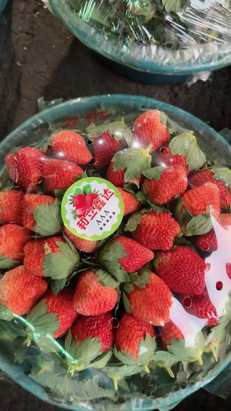 电商草莓，精品奶油草莓