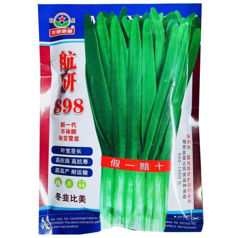 新一代不休眠四季新鲜航研898叶宽茎绿色无筋高耐寒不休眠