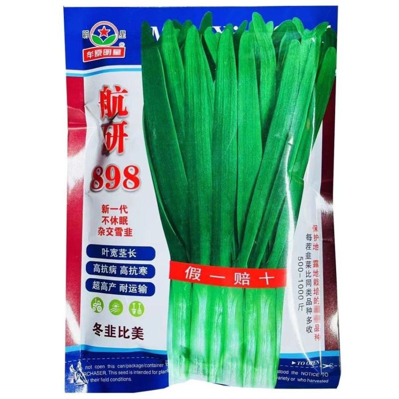 新一代不休眠四季新鲜航研898叶宽茎绿色无筋高耐寒不休眠