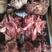 厂家直销精品全熟火燎的，五香羊头肉干净价格优惠欢迎咨询