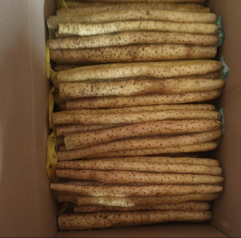 小白嘴白山药，淮山药，铁杆山药，产地直供