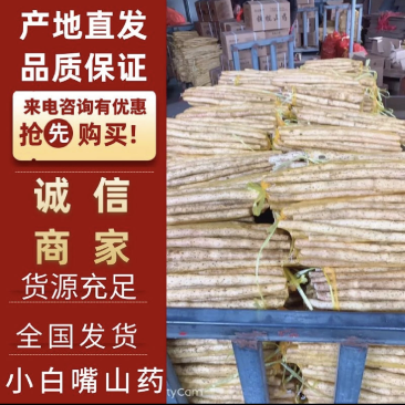 小白嘴白山药，淮山药，铁杆山药，产地直供