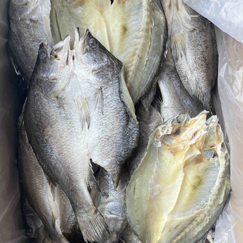 地摊开边老虎斑