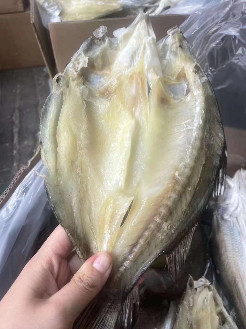 地摊开边老虎斑