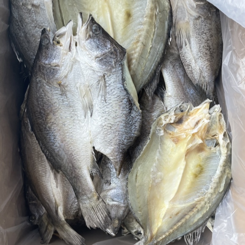 地摊开边老虎斑