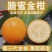 一手货源脆蜜金桔果型好甜度高对接全国市场欢迎采购