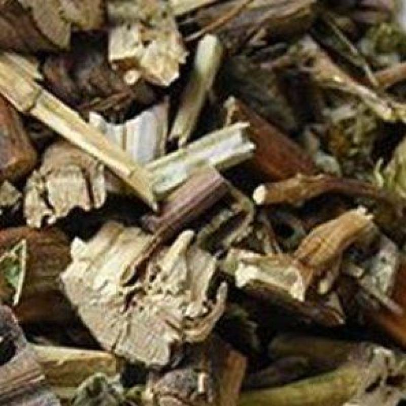 豨莶草稀莶草粘糊菜粘苍子粘不扎肥猪菜