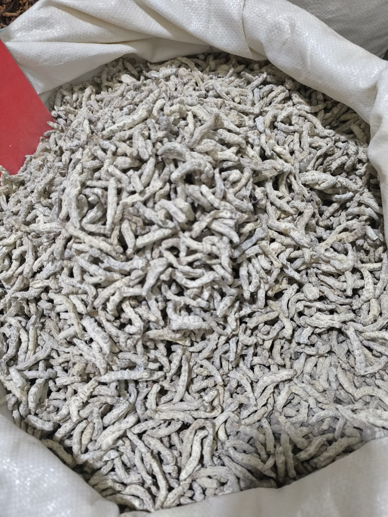 僵蚕中药材僵蚕新货无硫磺手选规划齐全批发零售