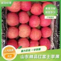 红富士苹果80mm以上纸袋，膜袋，纸加膜大量供应
