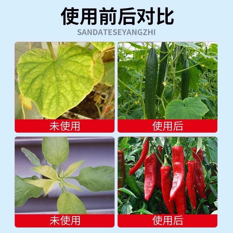 锌肥叶面肥补锌专用农用正品微量元素水溶肥糖醇锌小叶黄叶矮