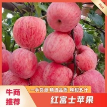 山西纸加膜红富士苹果，果面干净，脆甜可口。对接全国。