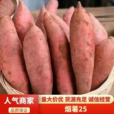 山东西瓜红，各种品类红薯+烟薯+哈密。保质保量发全国