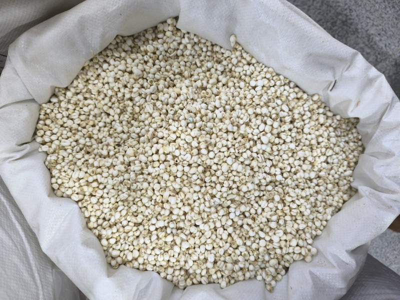 浙贝母中药材浙贝母片贝母贝母个规格齐全现货