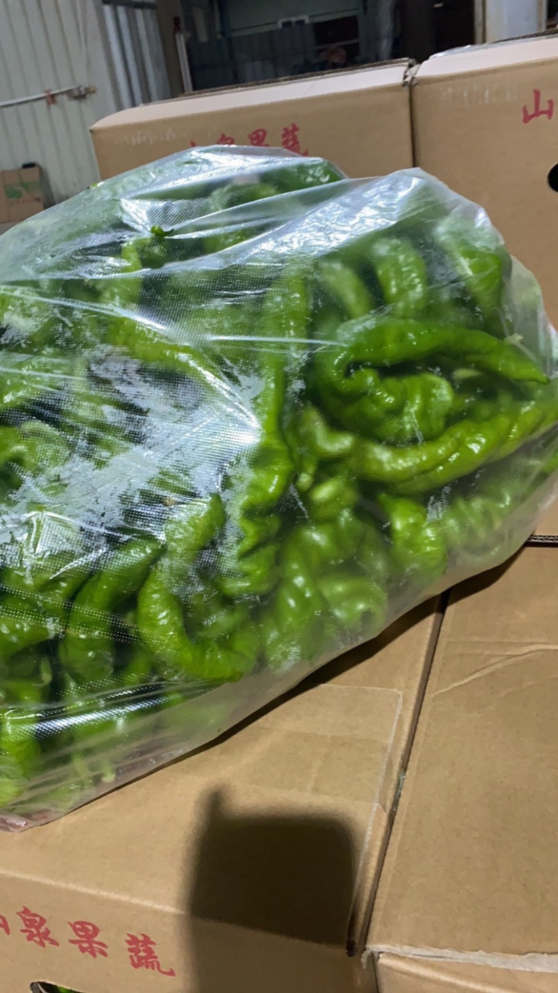 新鲜蔬菜鲜辣椒批发螺丝椒现摘薄皮青尖椒皱皮椒