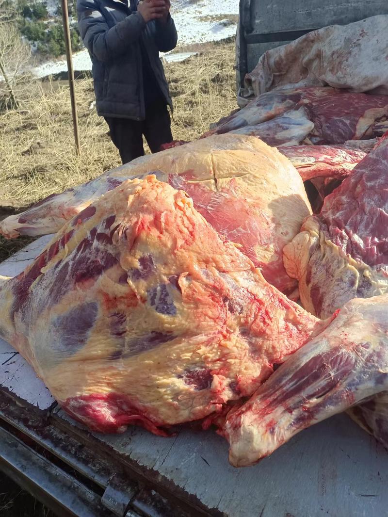 青藏高原牦牛肉需要的老板联系