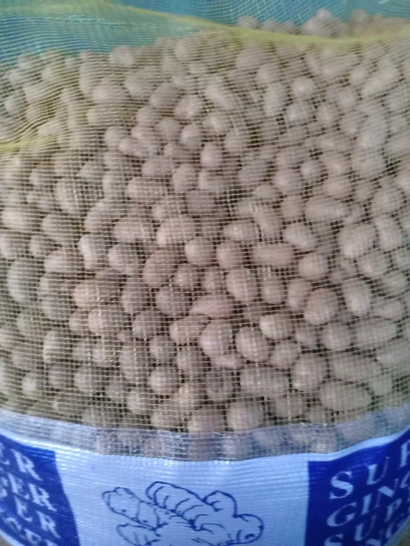 山东山药豆大量上市中产地代发全国各地需要的联系