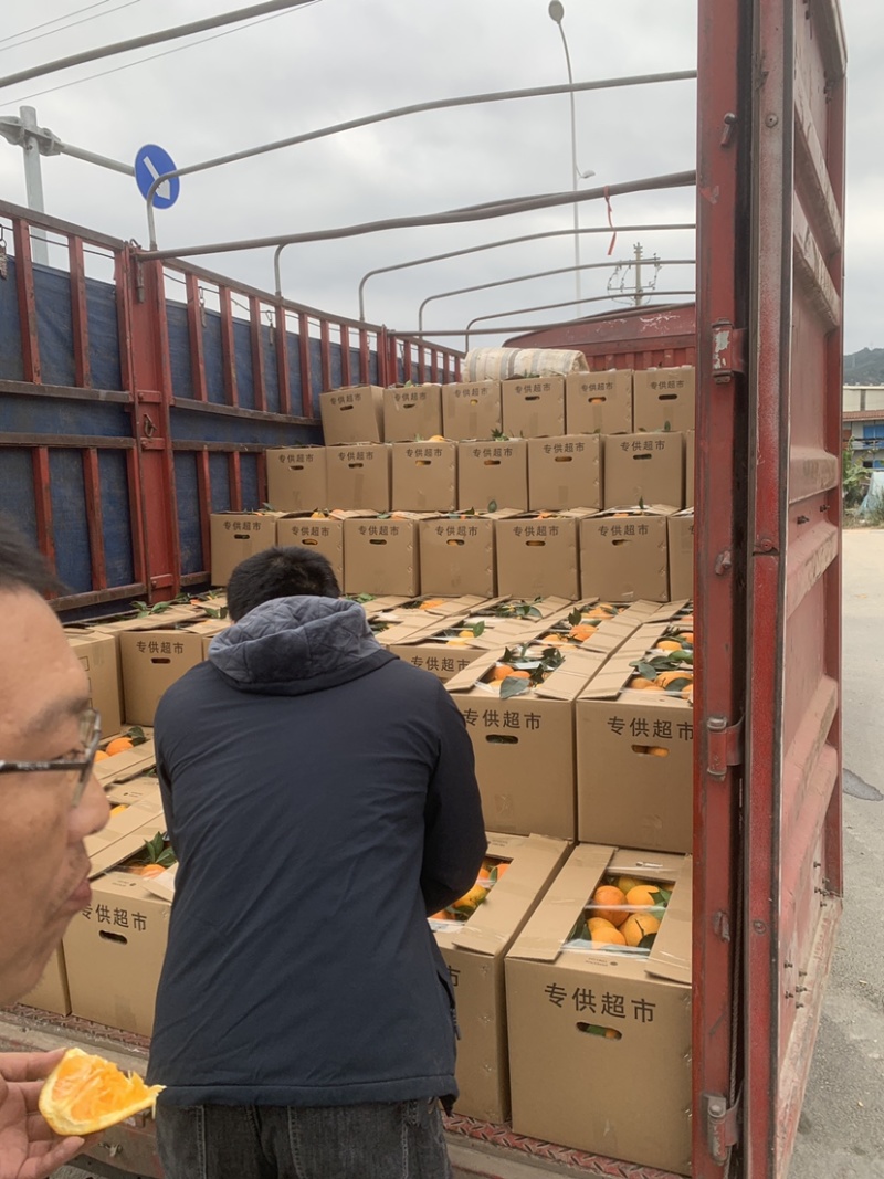 平和木瓜蜜丁橙，产地代办，对接全国各大市场社区团购