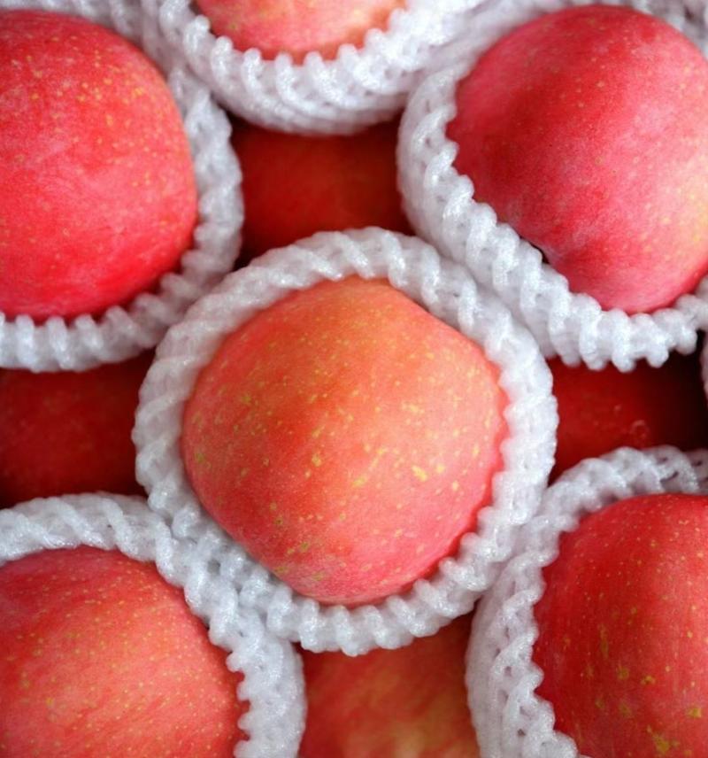 【一件代发】山西运城红富士冰糖心苹果，脆甜可口
