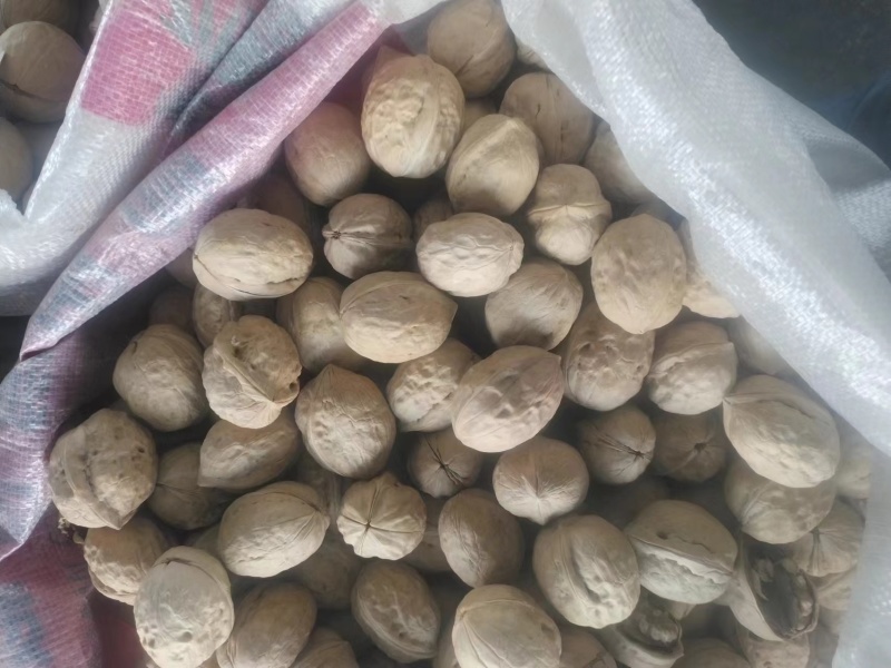 新疆特产和田幸福核桃薄皮生核桃新货地摊商超批发