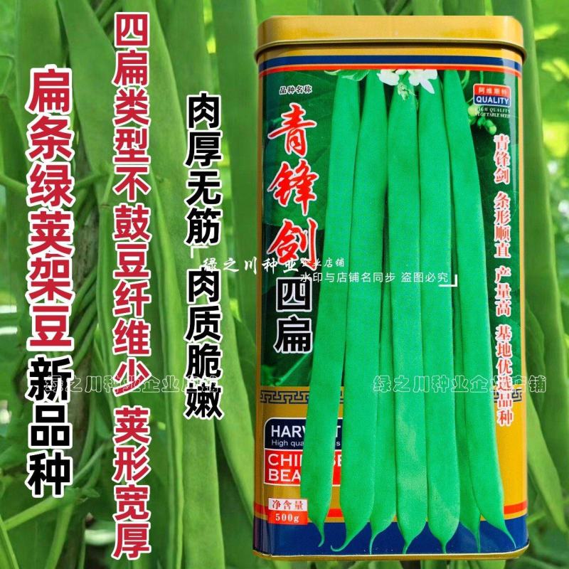 青锋剑四扁芸豆种子扁条无筋豆种子绿荚四季豆架豆种子不鼓籽