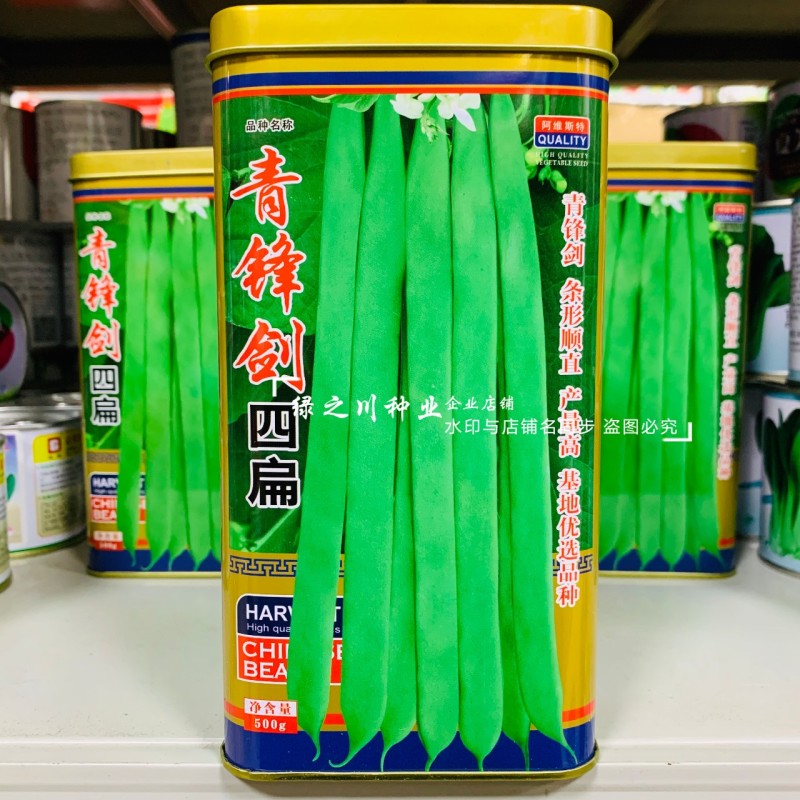 青锋剑四扁芸豆种子扁条无筋豆种子绿荚四季豆架豆种子不鼓籽