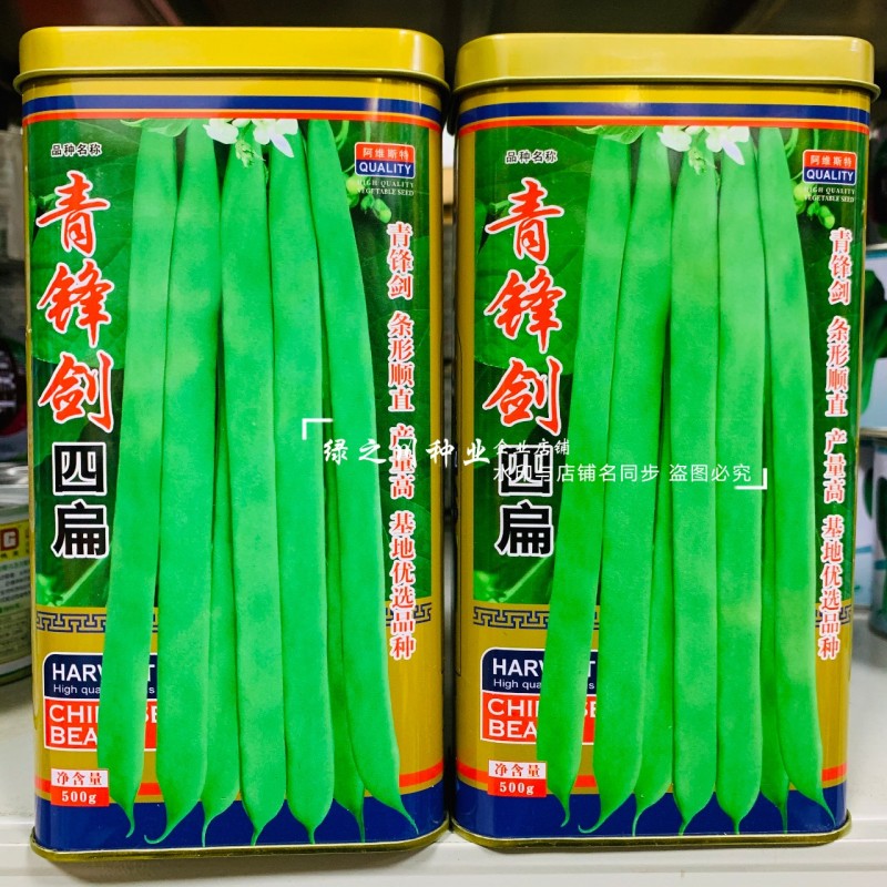 青锋剑四扁芸豆种子扁条无筋豆种子绿荚四季豆架豆种子不鼓籽