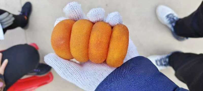 广西桂林精品柿饼大量上市，产地一手货源，规格多样欢迎选购