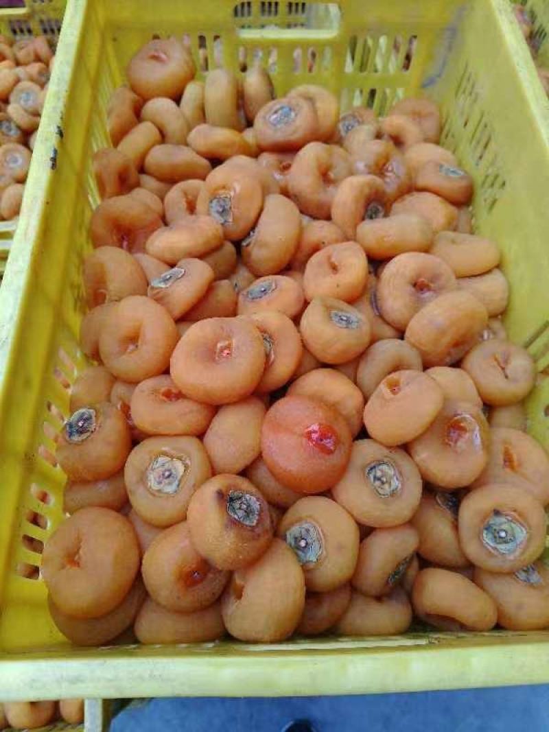 广西桂林精品柿饼大量上市，产地一手货源，规格多样欢迎选购